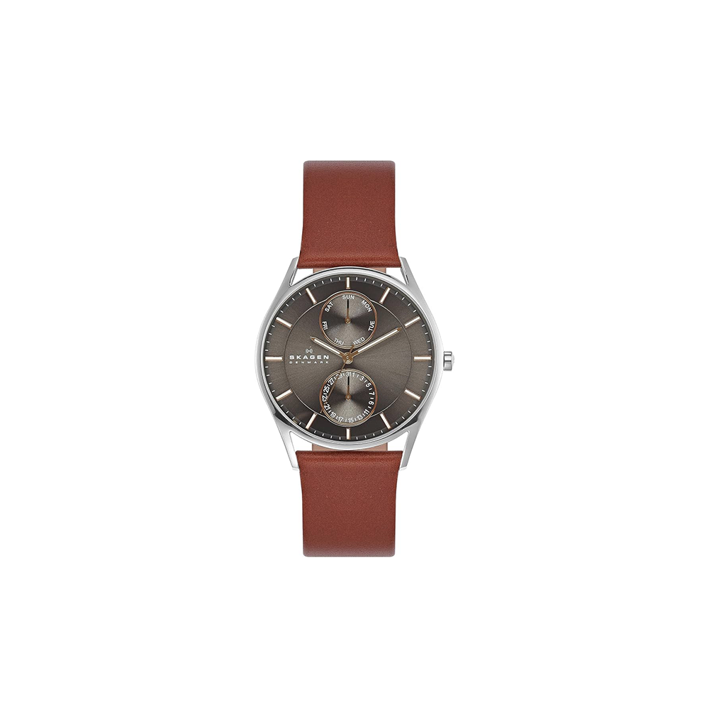 Skagen clearance holst strap