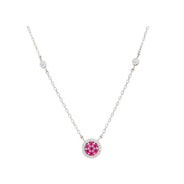 Polo Exchange  ACC. PXNE0812