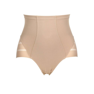 Dim Control High Rise Tummy Flattening Nude Briefs