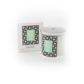 Fragrance Hubert Fattal Pomelo Candle